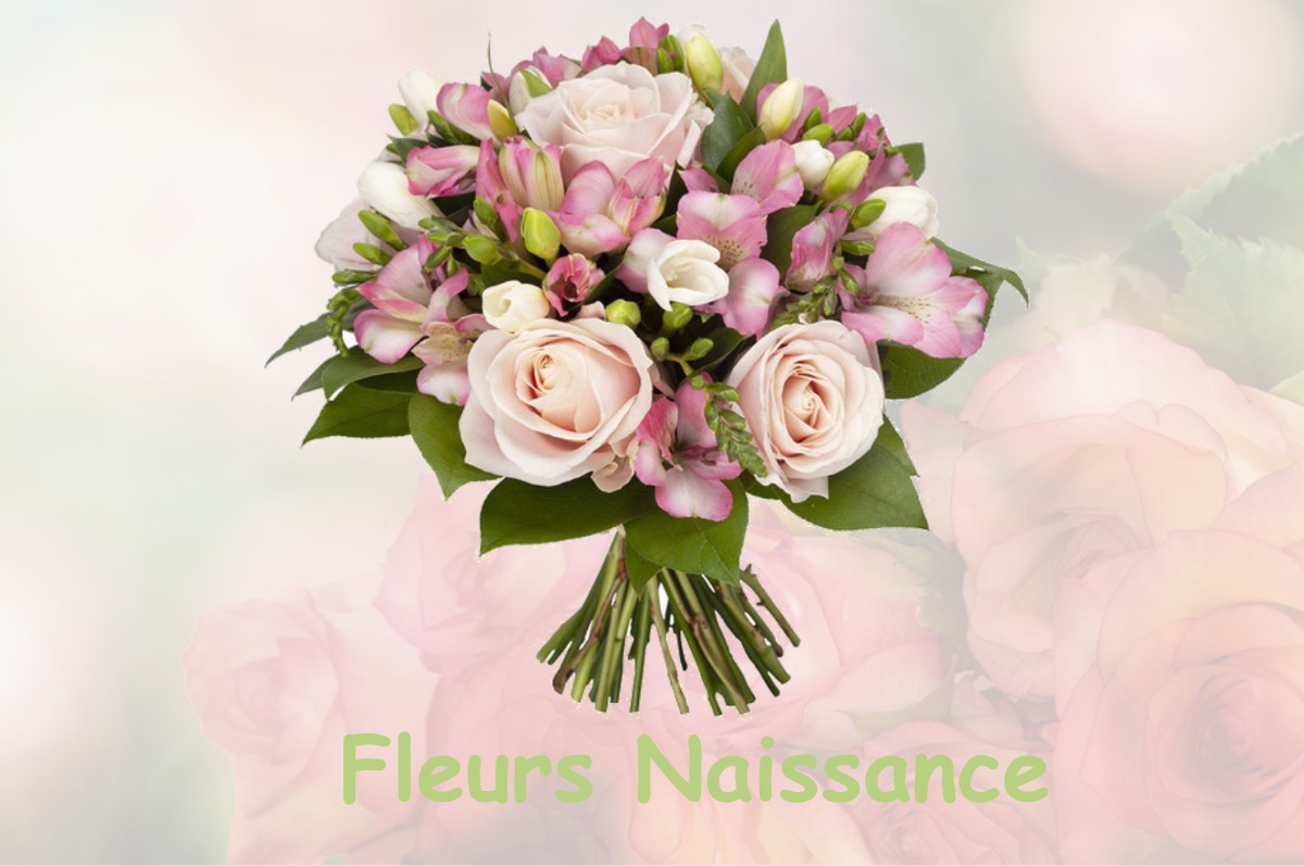 fleurs naissance MALAINCOURT-SUR-MEUSE