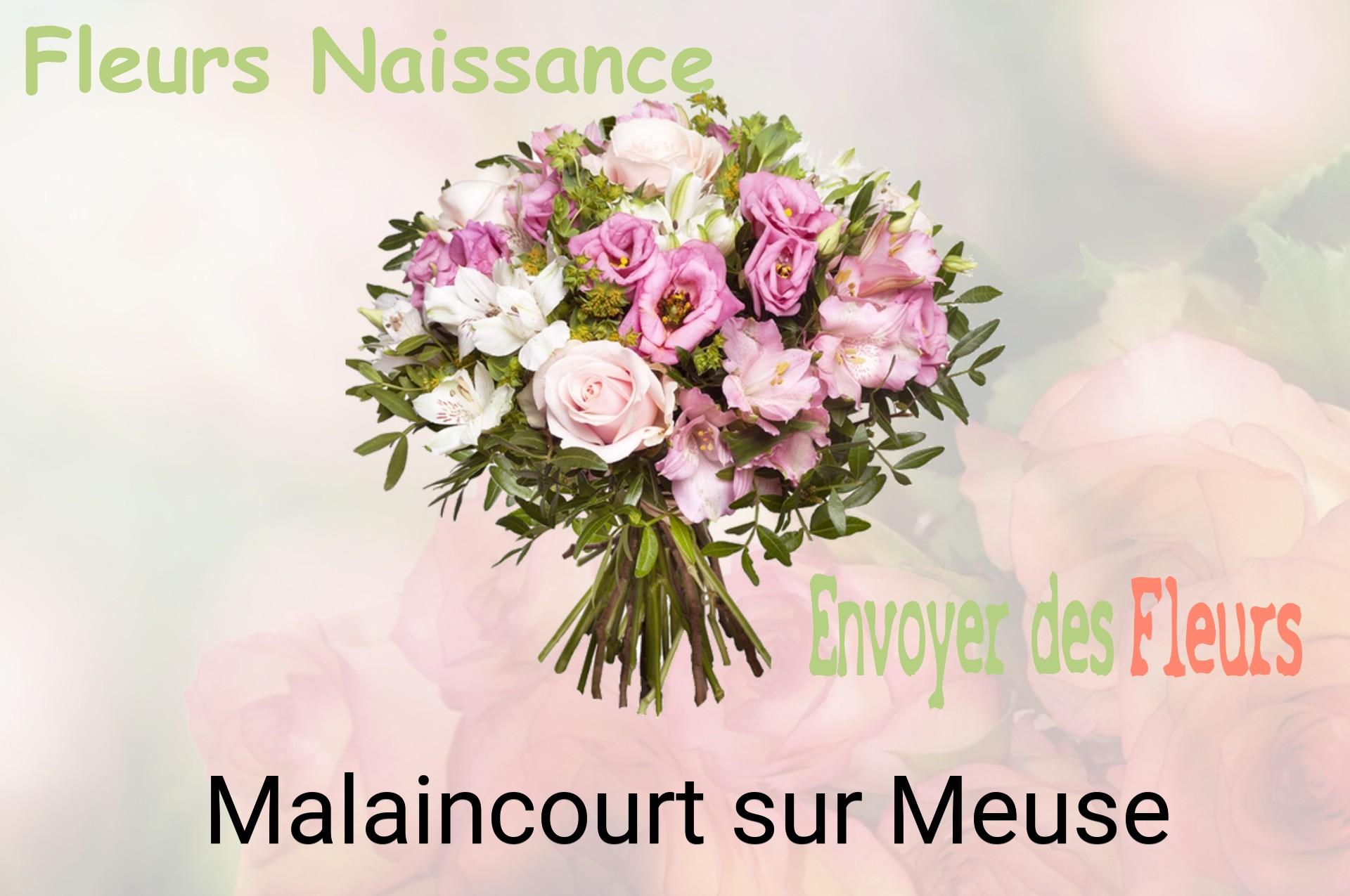 Bouquet de fleurs de naissance livré à Malaincourt-sur-Meuse